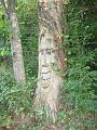 IMG_0254r