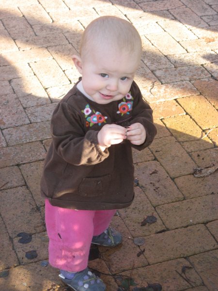 IMG_1248.JPG