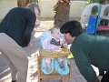 IMG_0599