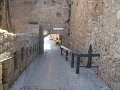 IMG_1195