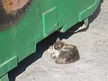 IMG_1204