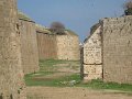 IMG_1205