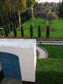 IMG_1250
