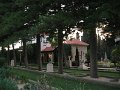 IMG_1251