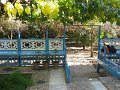 IMG_0021