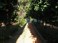 IMG_0022