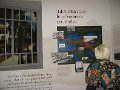 IMG_1256