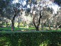 IMG_1228