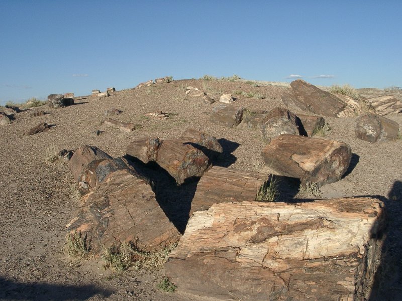 07270001.JPG