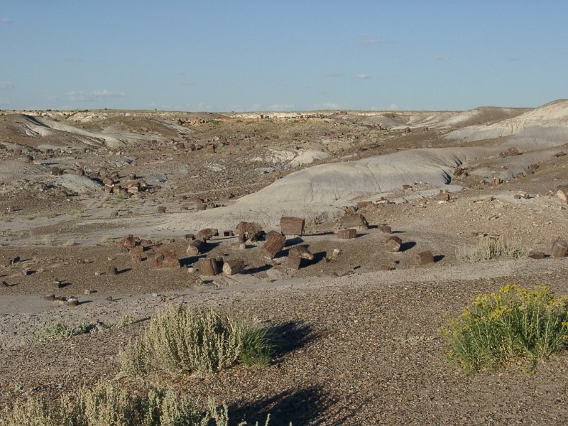 07270002.JPG